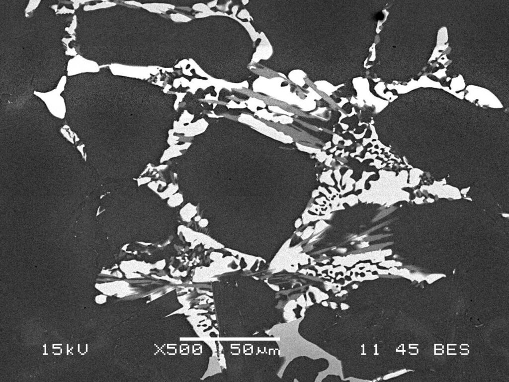 SEM- analysis- Fe- needles in aluminium castings